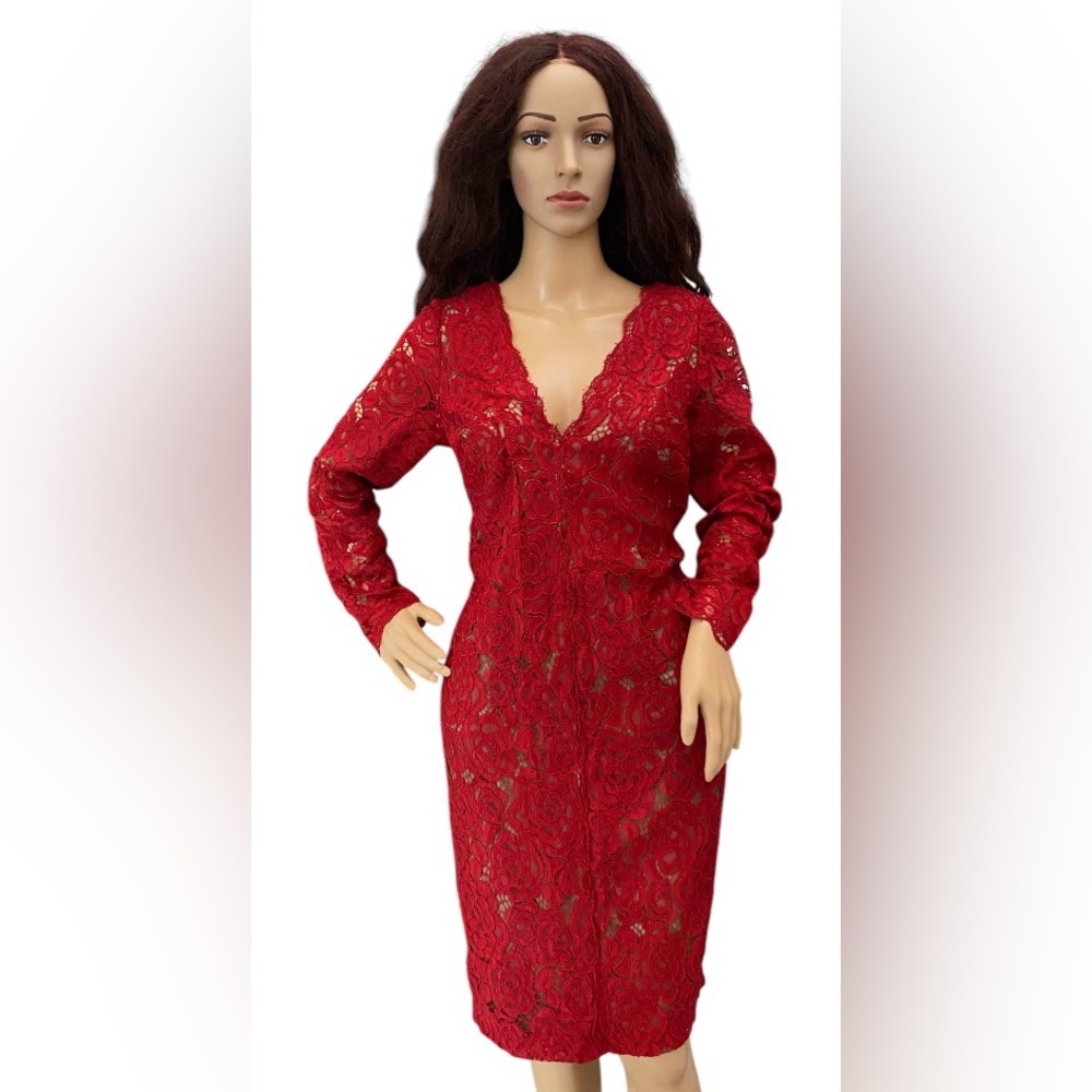 Vera Wang lace V neck long sleeves dress